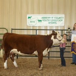 Cattle festival in abbeville la