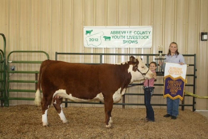 Cattle festival in abbeville la