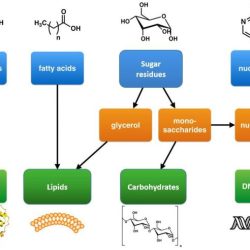 Pattern matching: classifying organic molecules