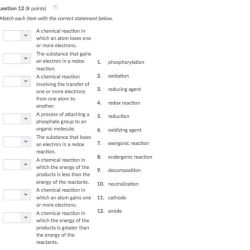 Correct each drag question location label plan answer questions do health some