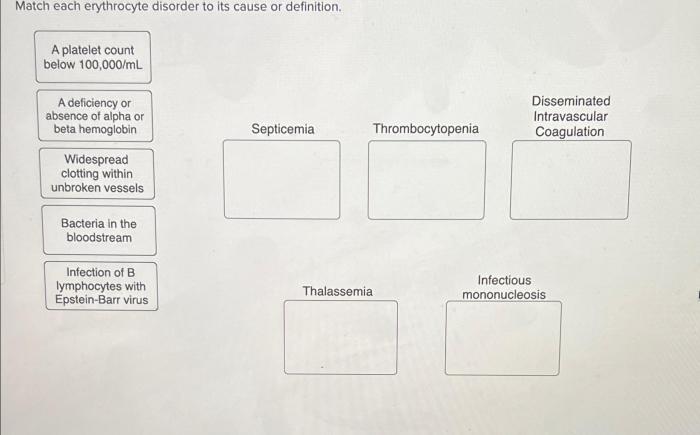 Match each erythrocyte disorder to its cause or definition.