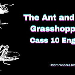 The ant and the grasshopper questions and answers class 3