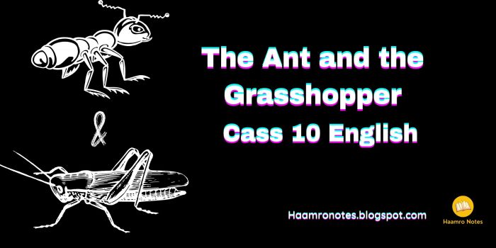 The ant and the grasshopper questions and answers class 3