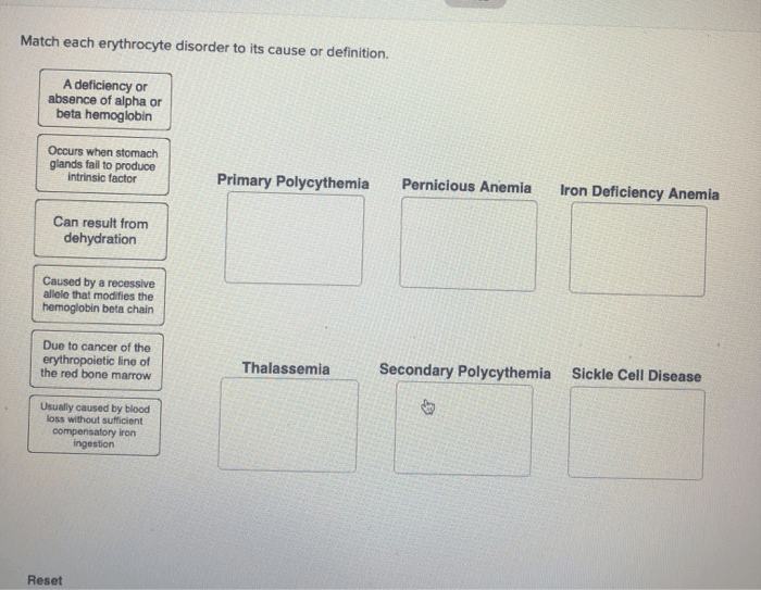 Match each erythrocyte disorder to its cause or definition.