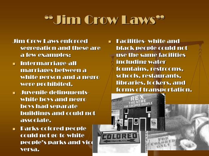 Jim crow laws in louisiana graphic organizer