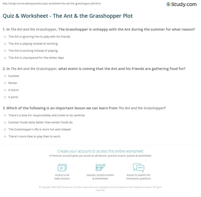 The ant and the grasshopper questions and answers class 3